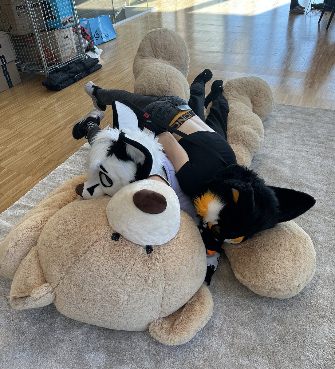 Wyle 🇮🇹 🔜 FZ, AWO tweet media