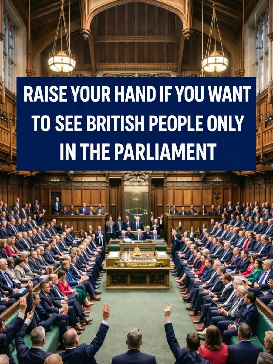 Neil the robin tweet media