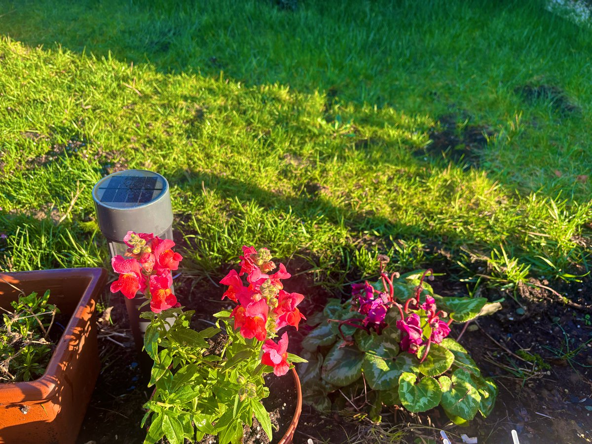 Hoy ha sido un buen domingo.