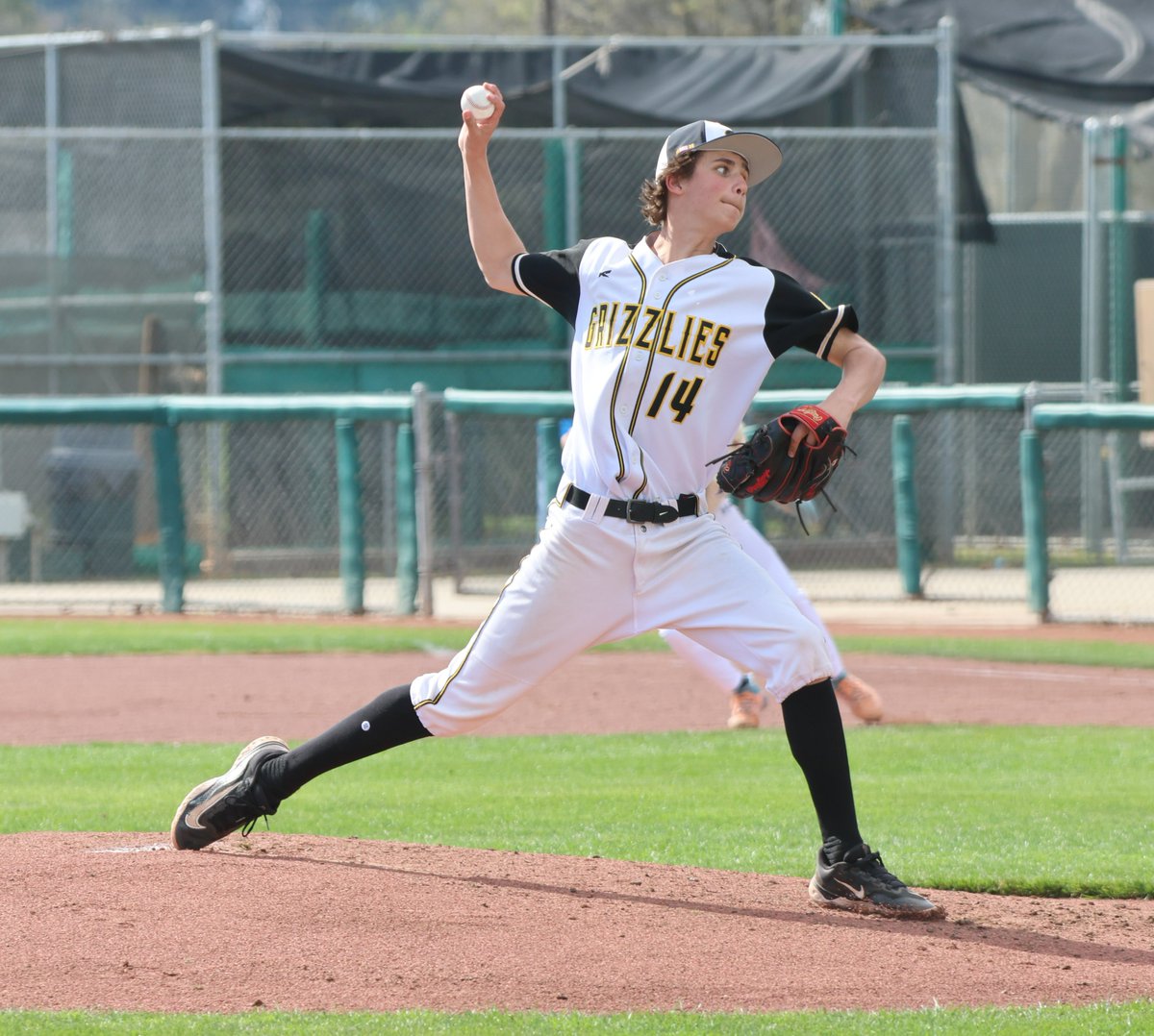 Galena Grizzlies Baseball tweet media