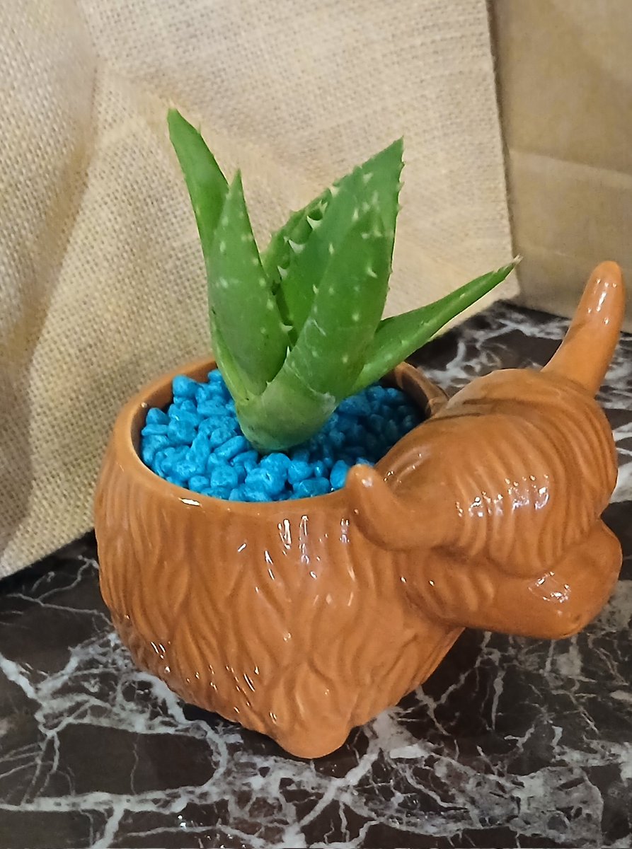 Steven Barrett tweet media