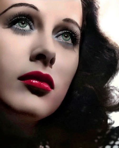 All The Right Movies tweet media