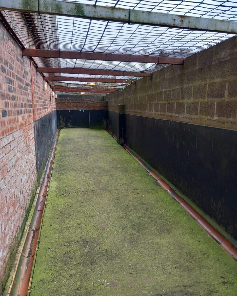 🦊Jᴀᴍᴇꜱ tweet media