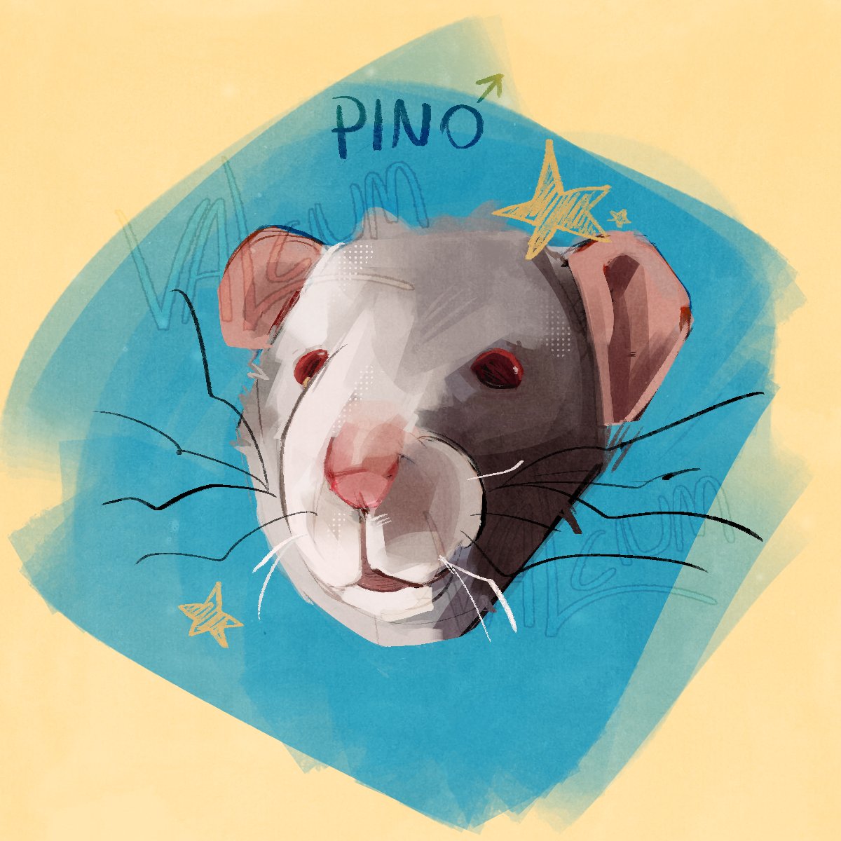 Look at my adorable beautiful gentleman rat💙