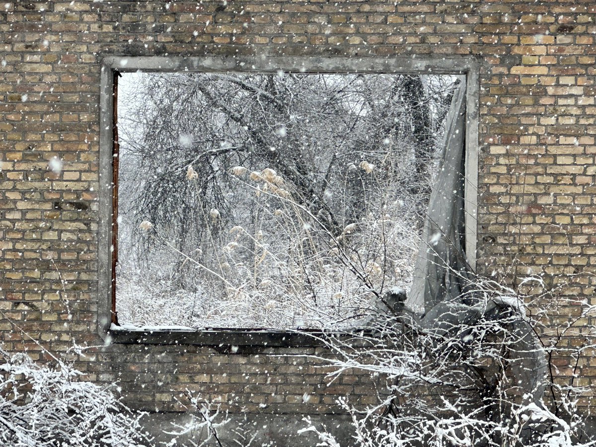 塑料狗 tweet media