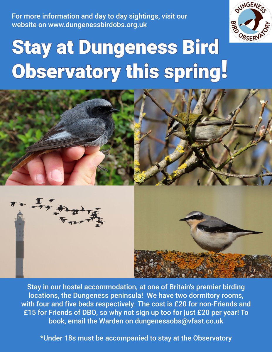 Dungeness Bird Observatory tweet media