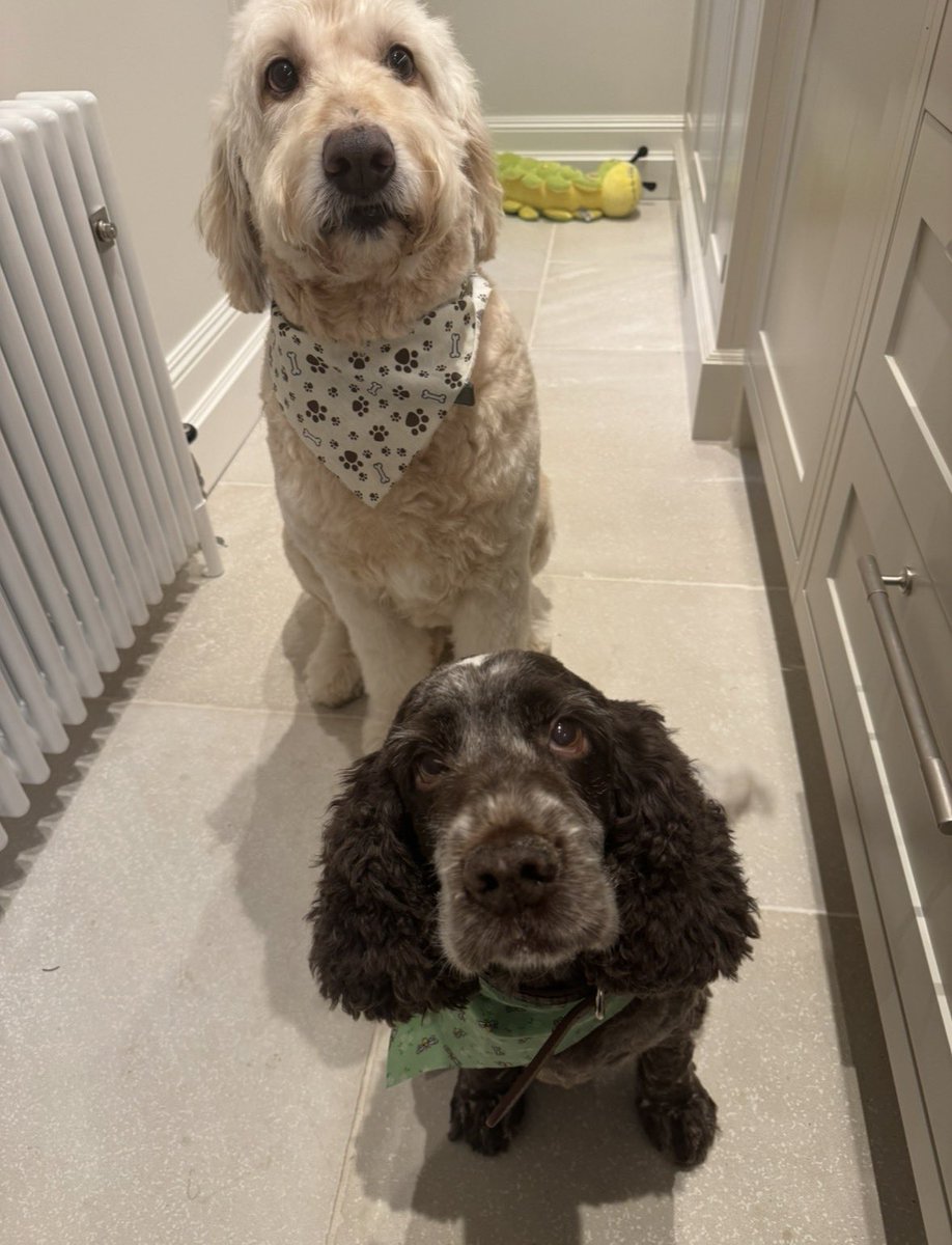 Tashy McTashface tweet media