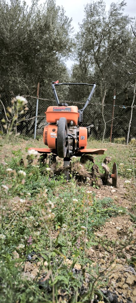 Nouf Infiyat #aborigen tweet media