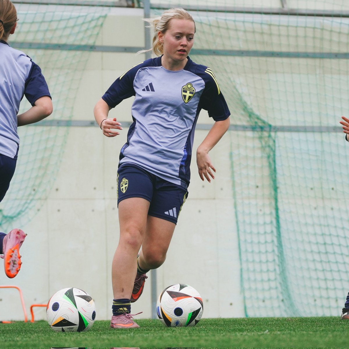 Pinatar Arena tweet media