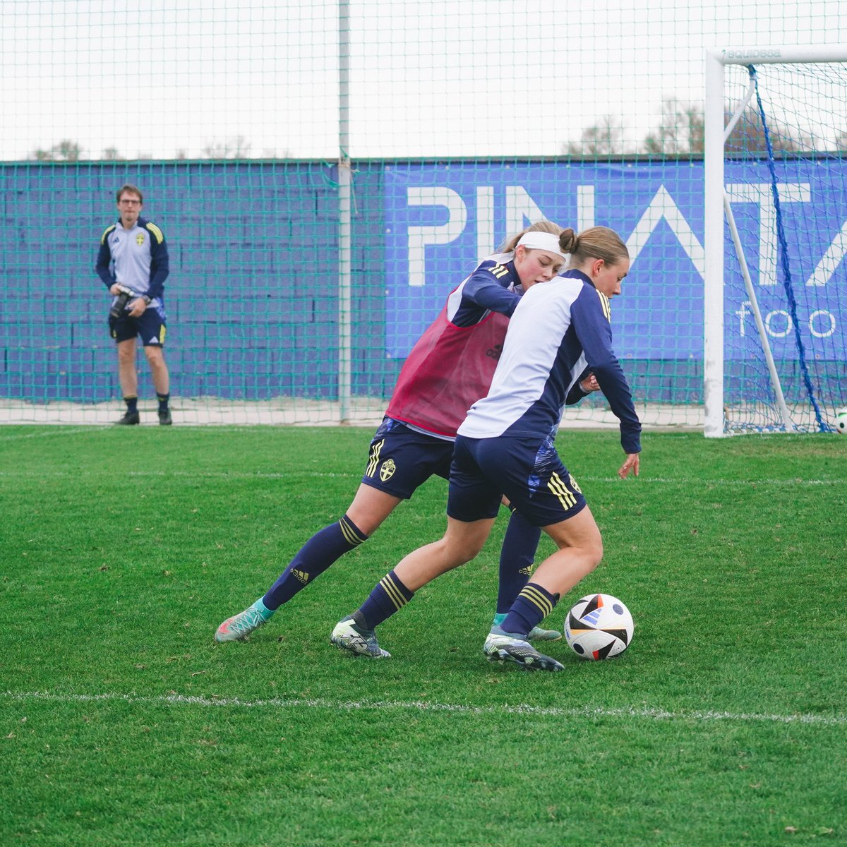 Pinatar Arena tweet media