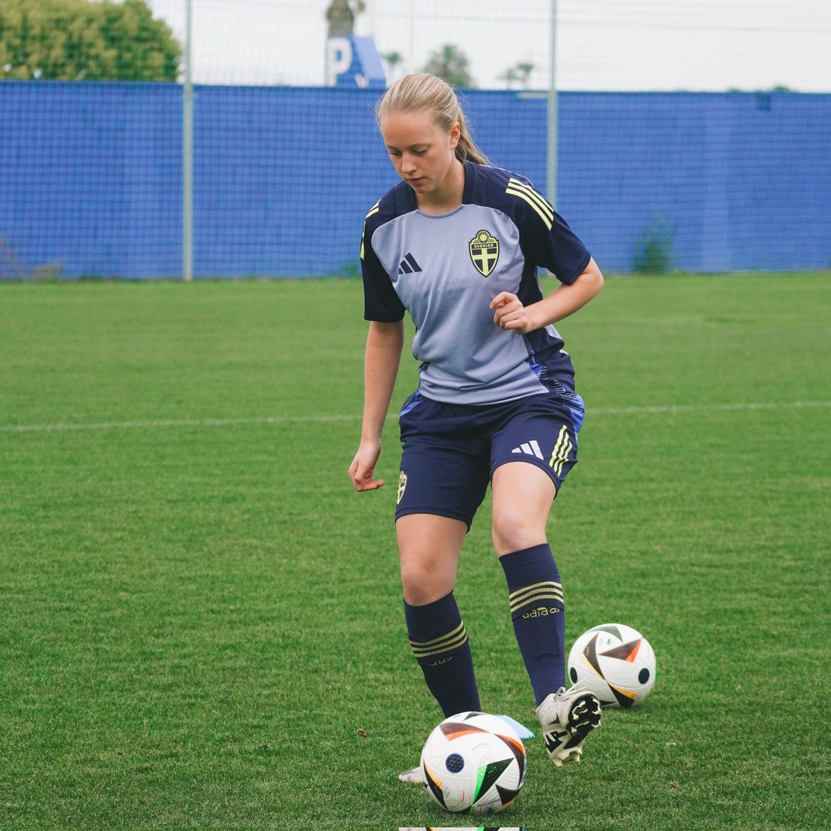 Pinatar Arena tweet media