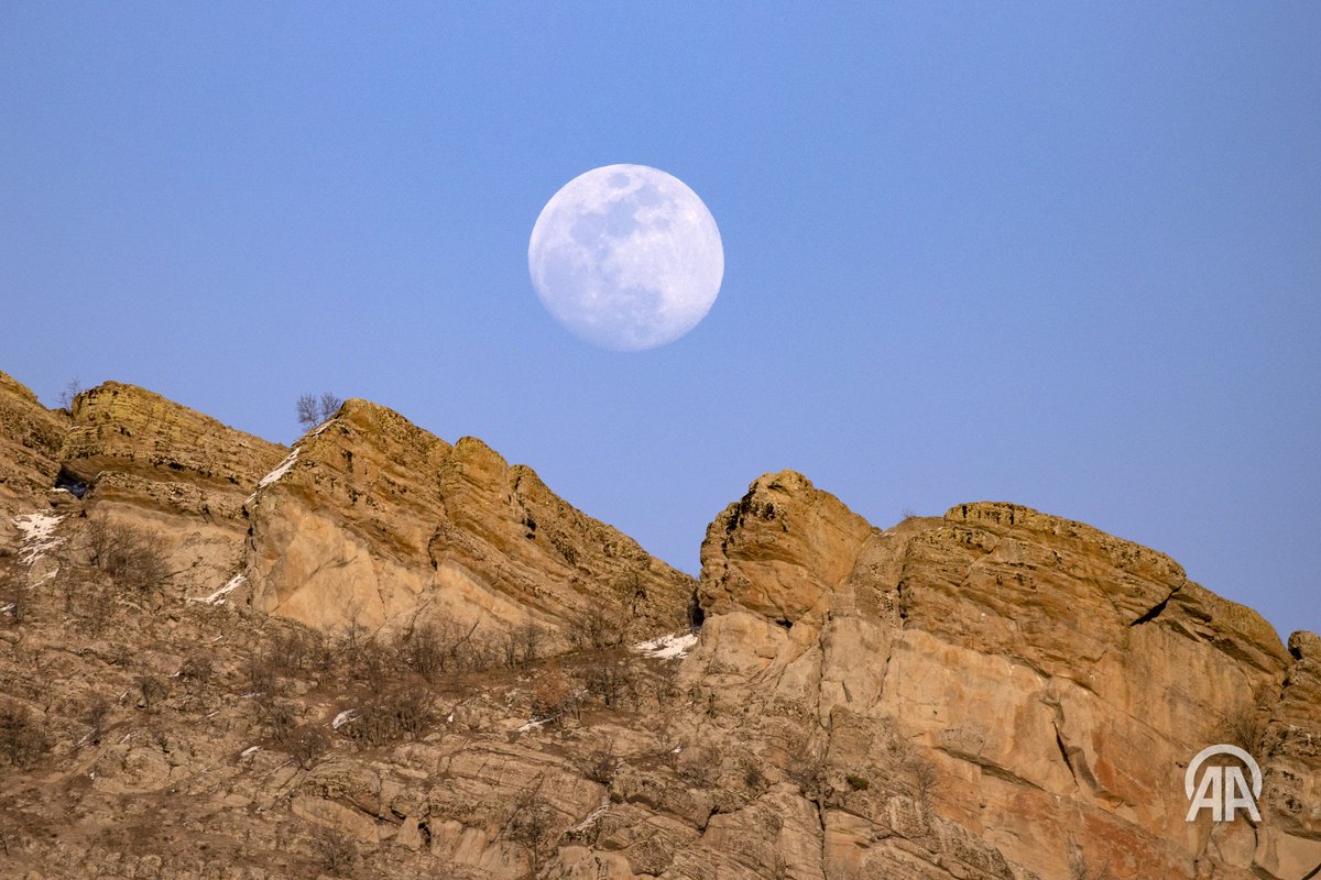 Sidar Eren tweet media