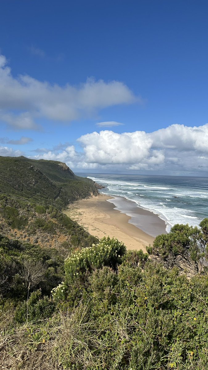 بناجمين🇵🇹 tweet media