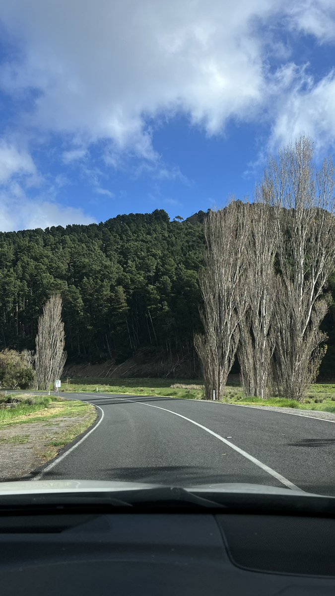 بناجمين🇵🇹 tweet media