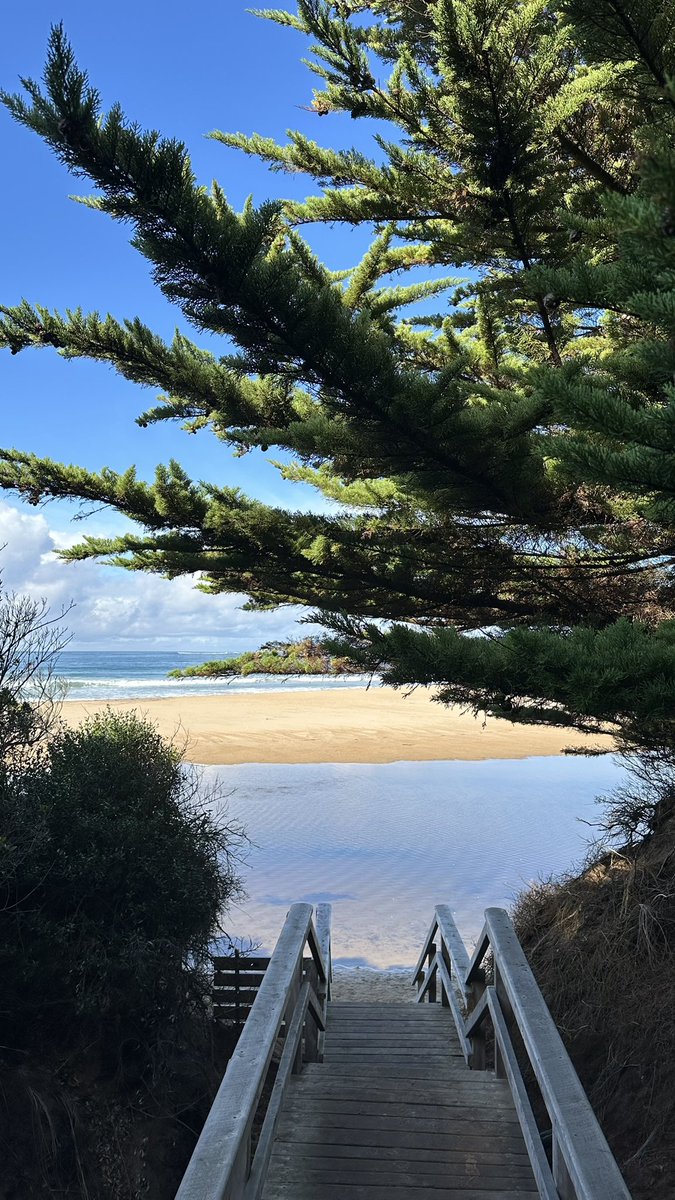 بناجمين🇵🇹 tweet media