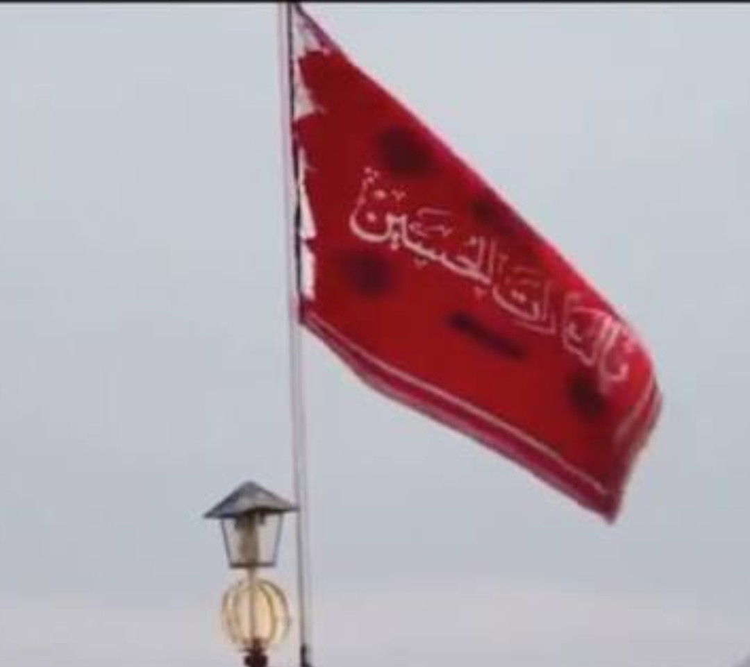 Juan de los muertos Colombiano tweet media