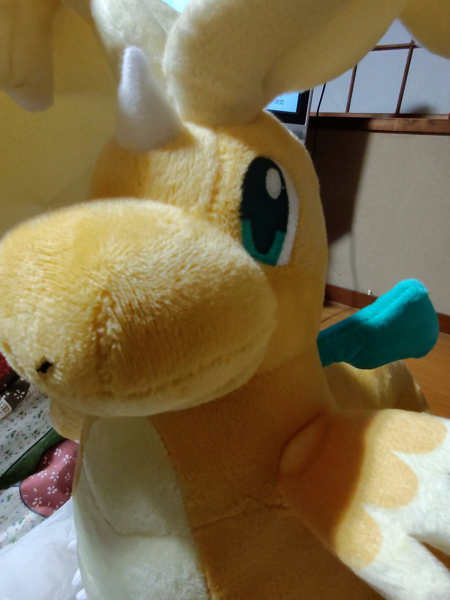 カイリュー なた〜