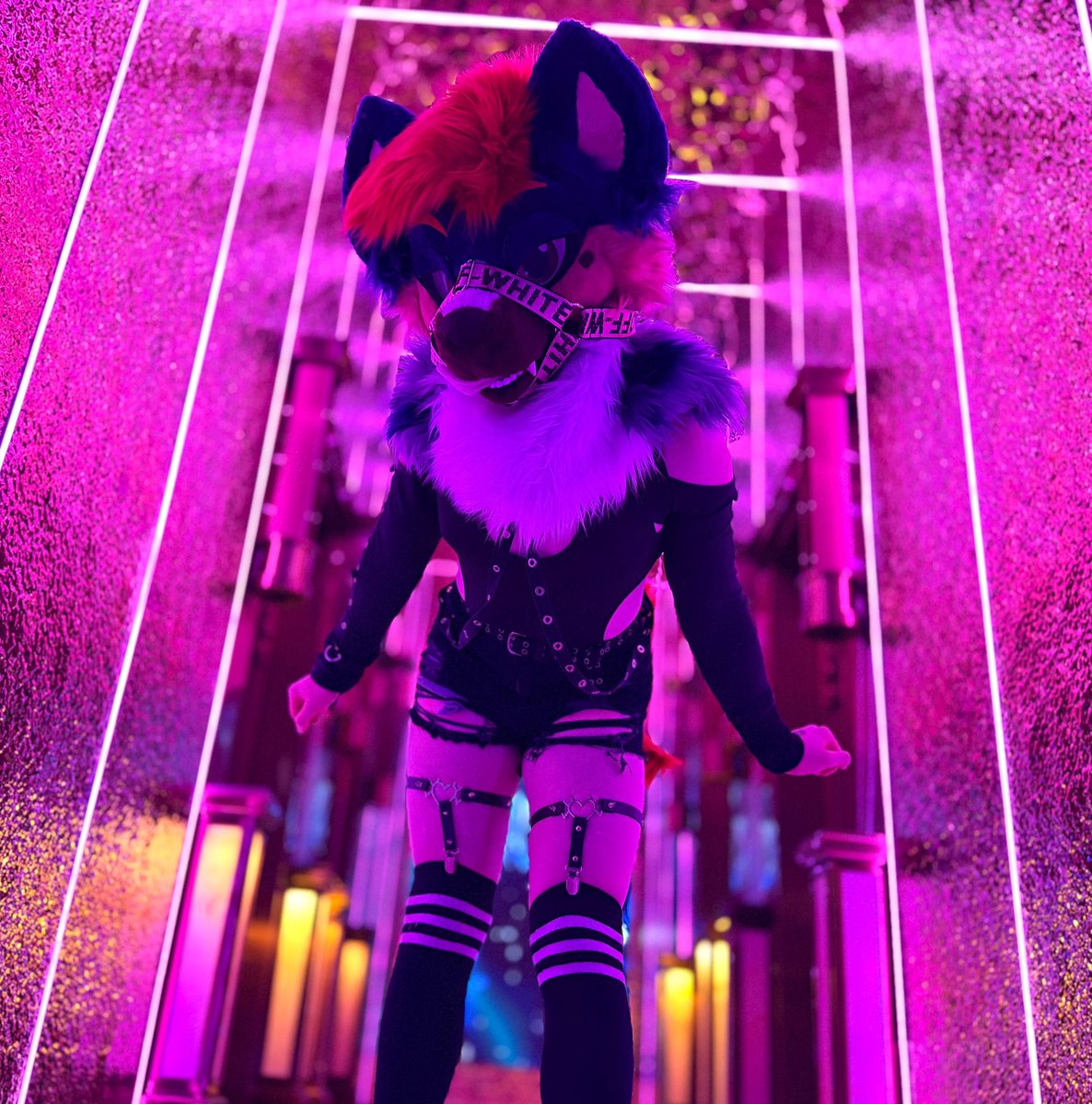 EmberIsYeen 🔜 FWA tweet media