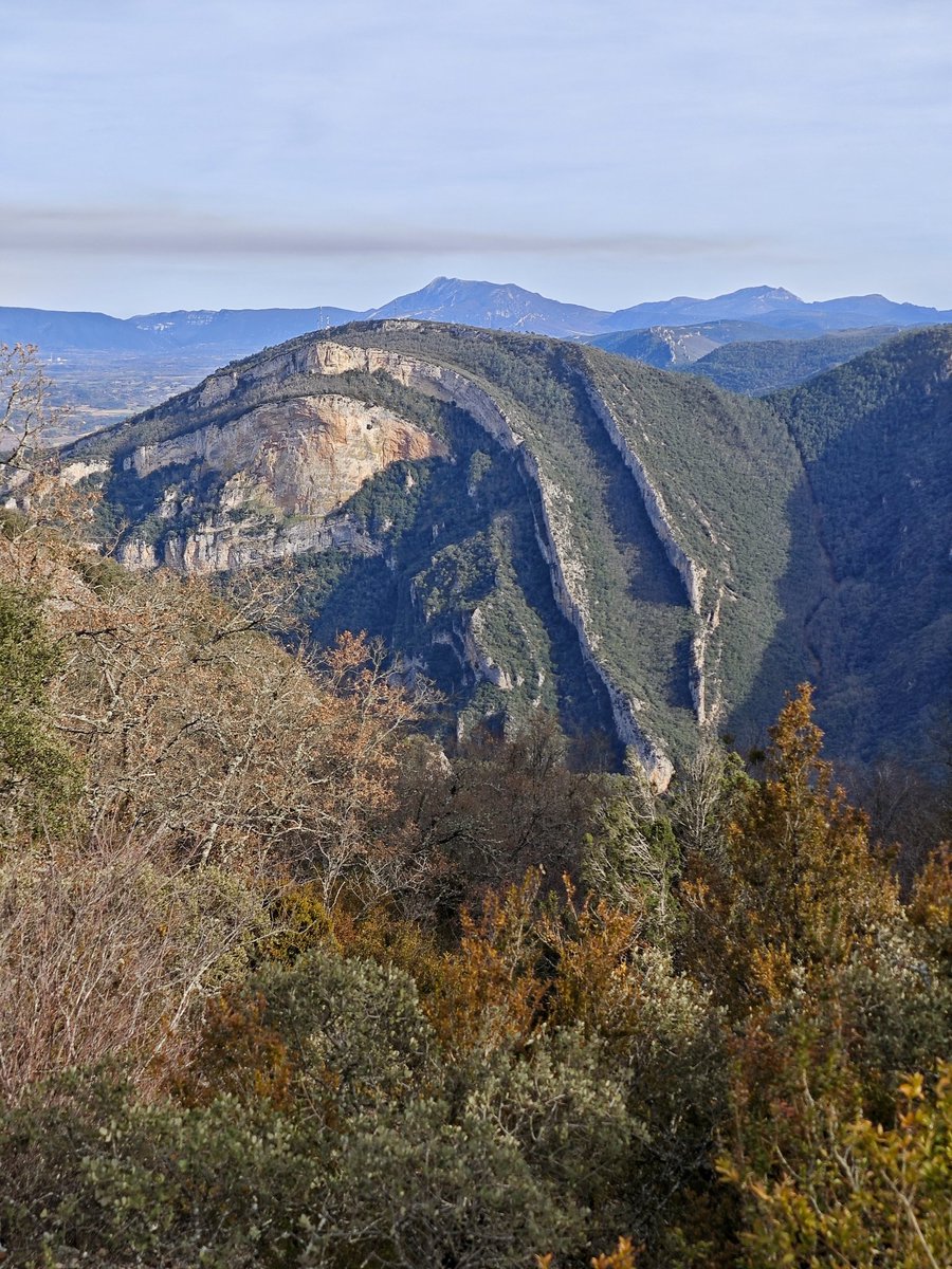 Al Filo Infrüngible tweet media