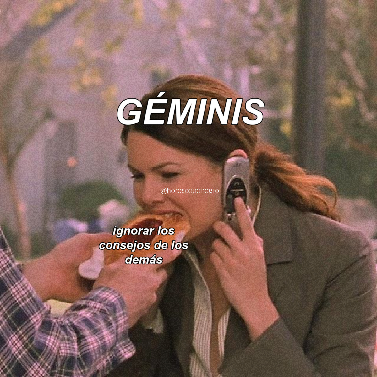 geminis_hn's tweet photo. No podemos evitarlo 😅😂 https://t.co/vb3lj94pzG