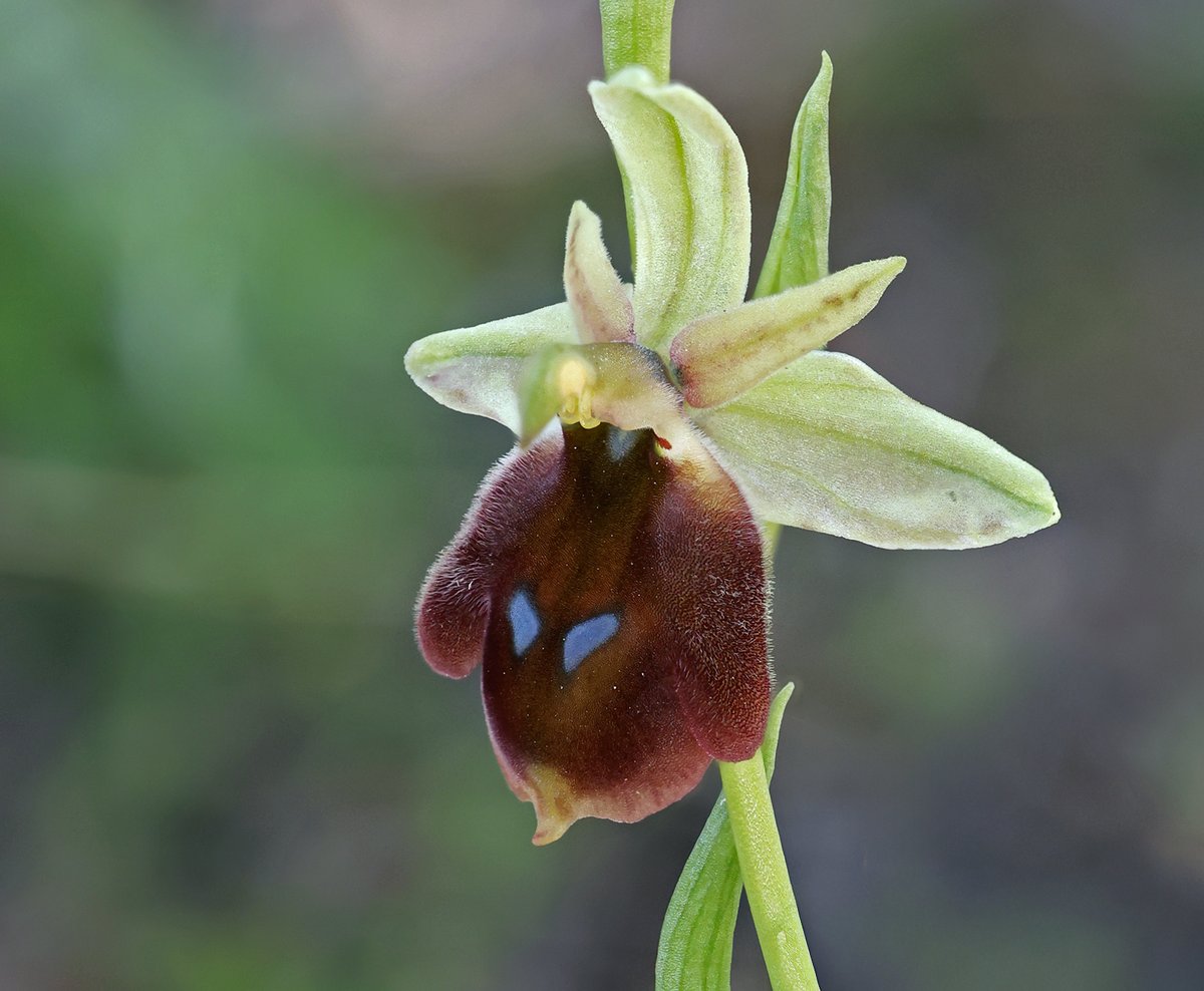 Matt Berry tweet media