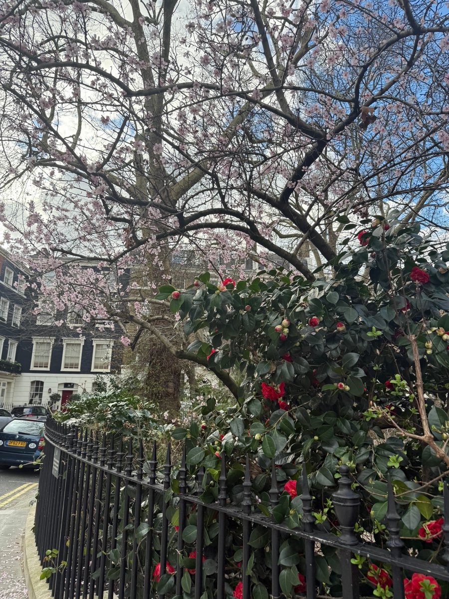 ☆ℂ𝕒𝕥𝕙𝕒𝕣𝕚𝕟𝕒☆ tweet media