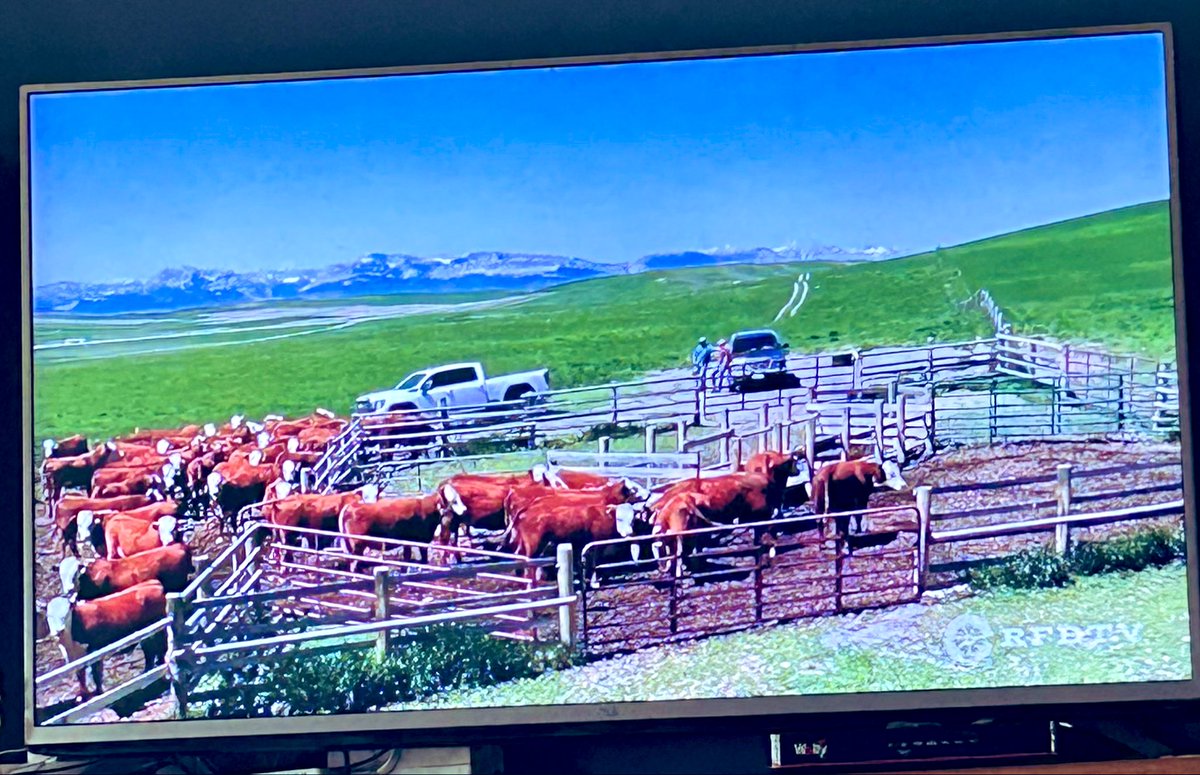 Dustin Goldie tweet media