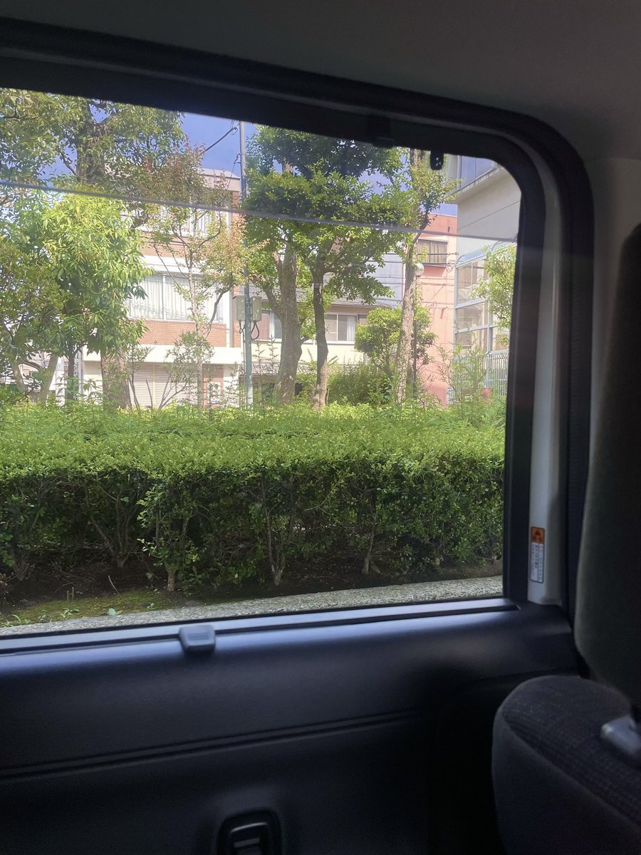 来ん♡ tweet media