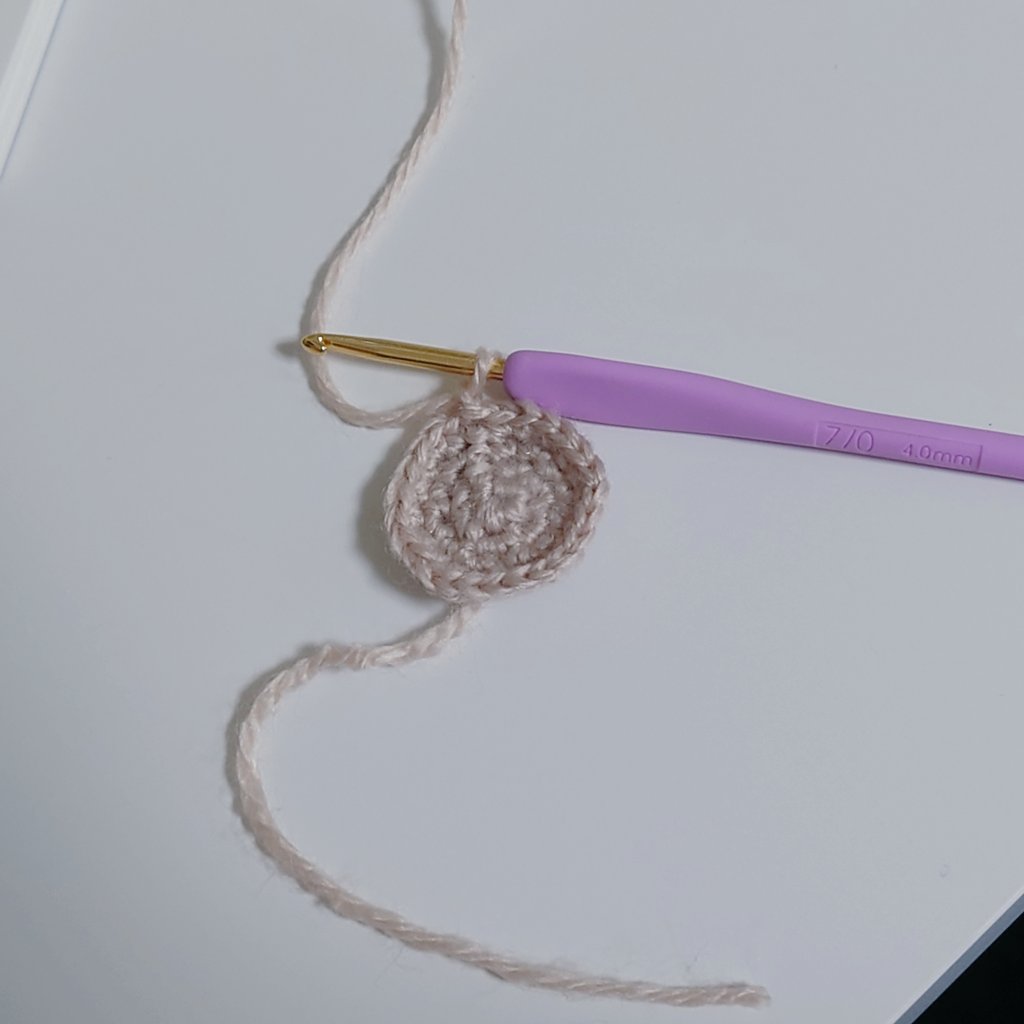 編み物マスターの直々の指南により無事に円形理解しました ここから何作ろうかな