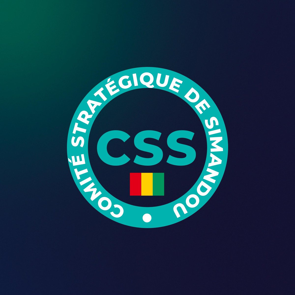 COMITÉ STRATÉGIQUE DE SIMANDOU tweet media