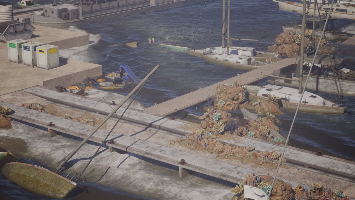 AZUR 💧🪸🎒 tweet media