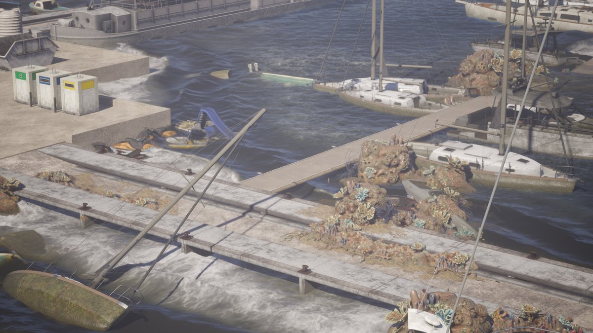 AZUR 💧🪸🎒 tweet media