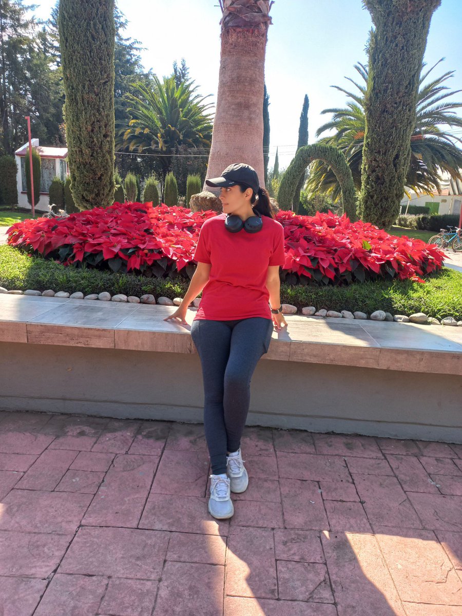 Sol 🌞 tweet media