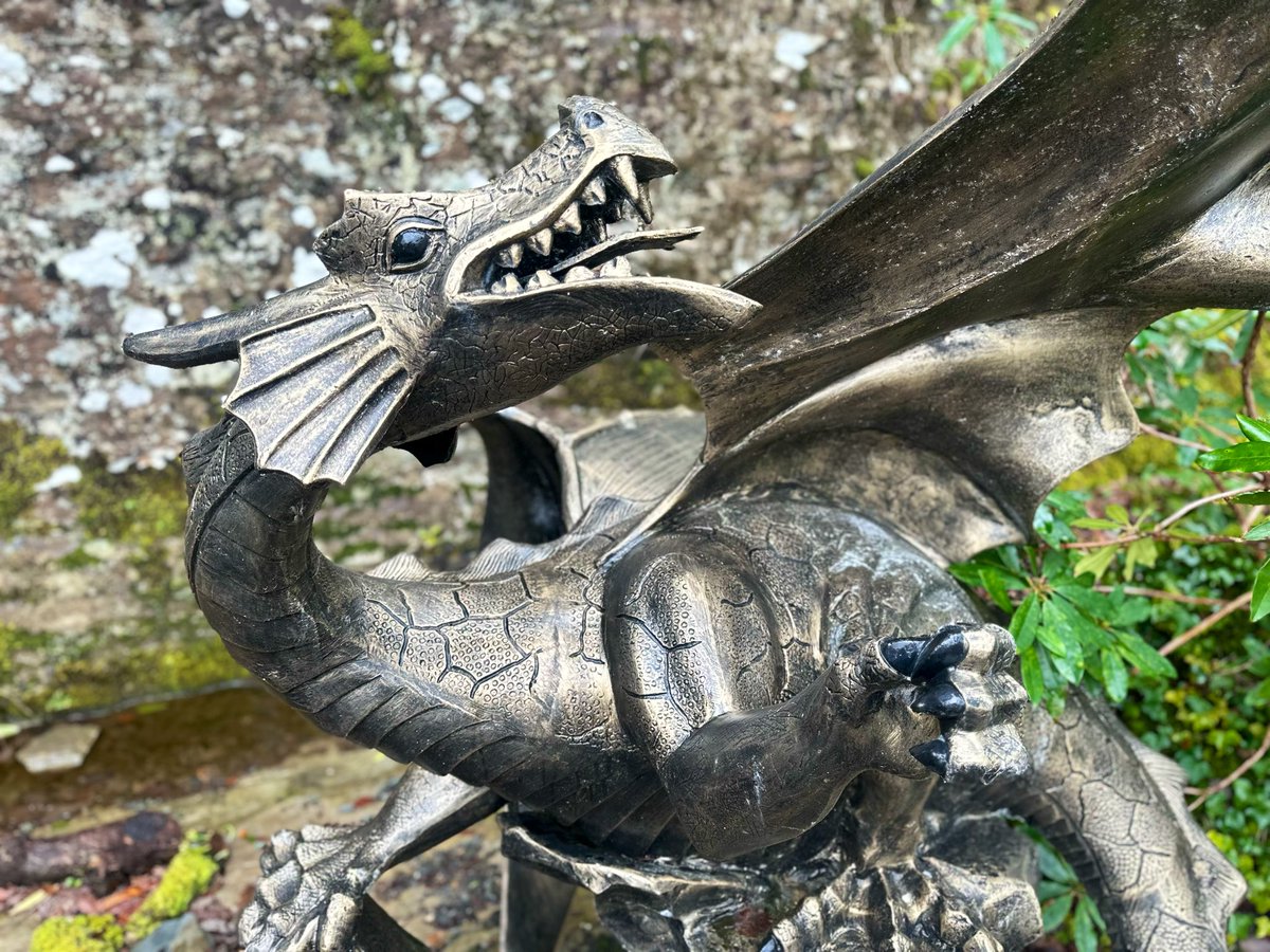 Voices Project tweet media