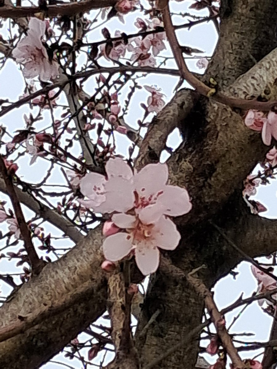 Simone BALLO tweet media