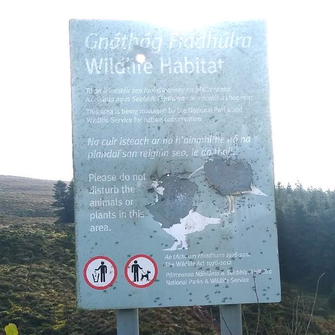 "Wildlife Habitat - Do not disturb the animals": A sign at a Special Area of Conservation with a bullet hole in it and the "protected" birds scraped away. Join us in urging Ministers <a href="/JamesBrowneTD/">James Browne TD</a> <a href="/COSullivanTD/">Christopher O’Sullivan TD</a>  to protect all birds from shooters banbloodsports.wordpress.com/2025/04/17/tel… #Ireland