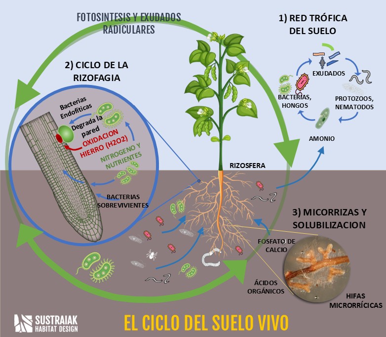 David González tweet media