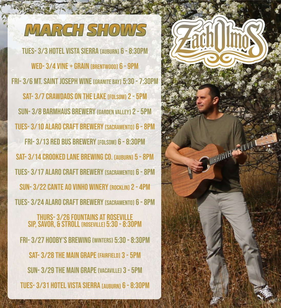 Zach Olmos Music tweet media