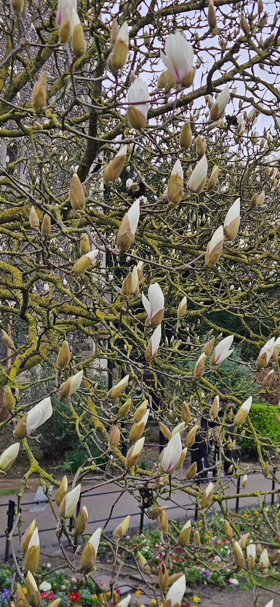 Vicky Newham / Izzie Harper. tweet media