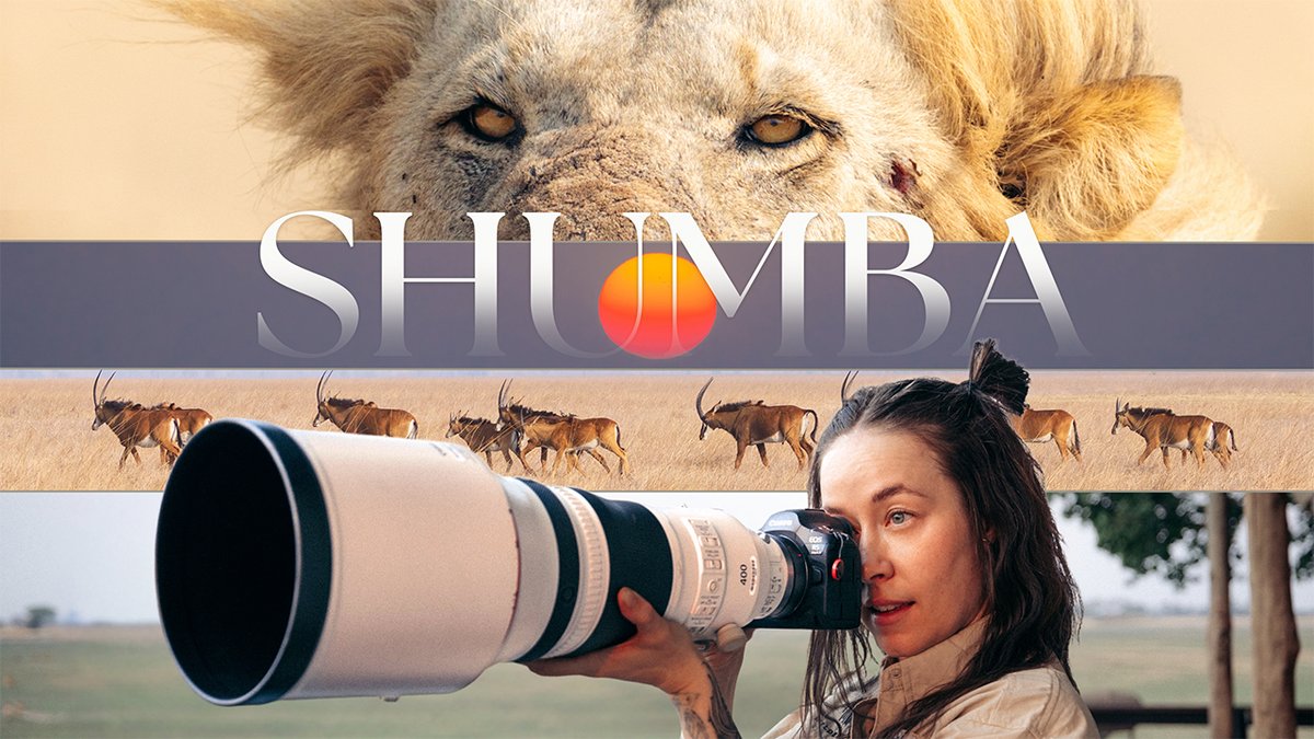 ninadefillaa's tweet photo. In the heart of Zambia’s Busanga Plains, Wilderness Shumba is known as the “Lion Camp” — and within minutes of arriving, a lion walked onto the pool deck, setting the tone for one of the wildest safari experiences I’ve ever had.

https://t.co/TfHSlcw64s via @YouTube https://t.co/sxJCZM5v1h