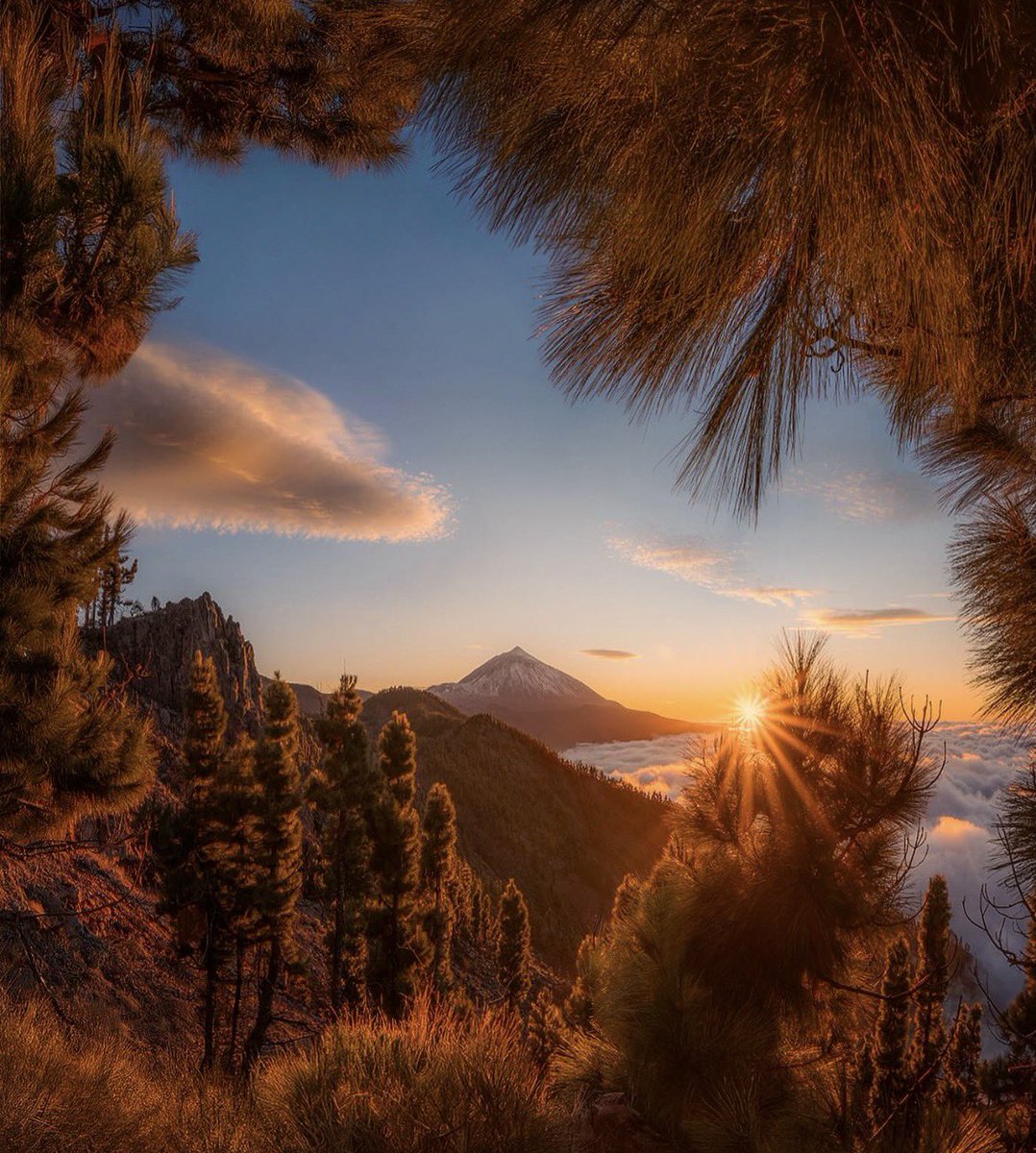 Imanol Zuaznabar tweet media