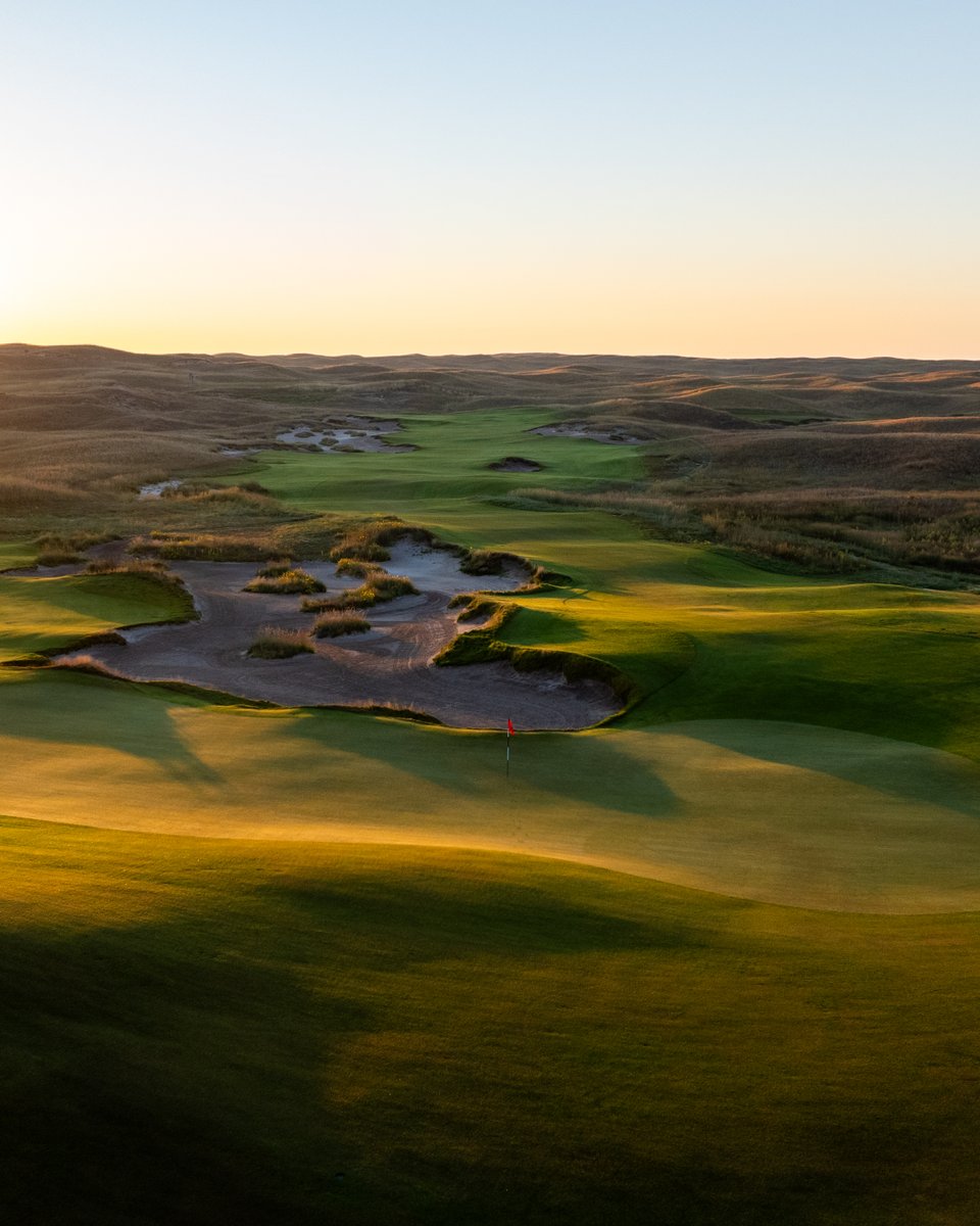 Dormie Network tweet media