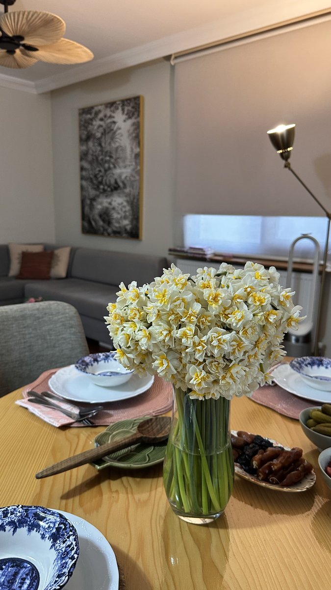 Feyzanur tweet media