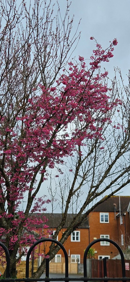 Vicky Newham / Izzie Harper. tweet media