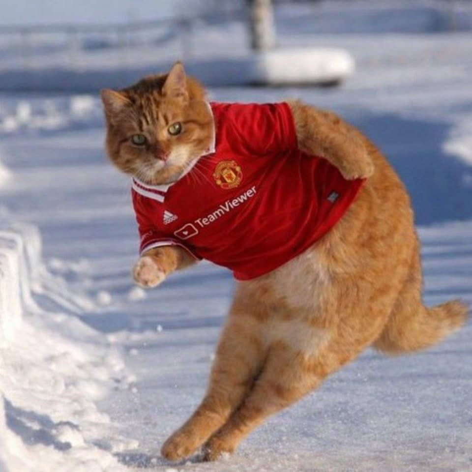 Oluchi_react tweet media