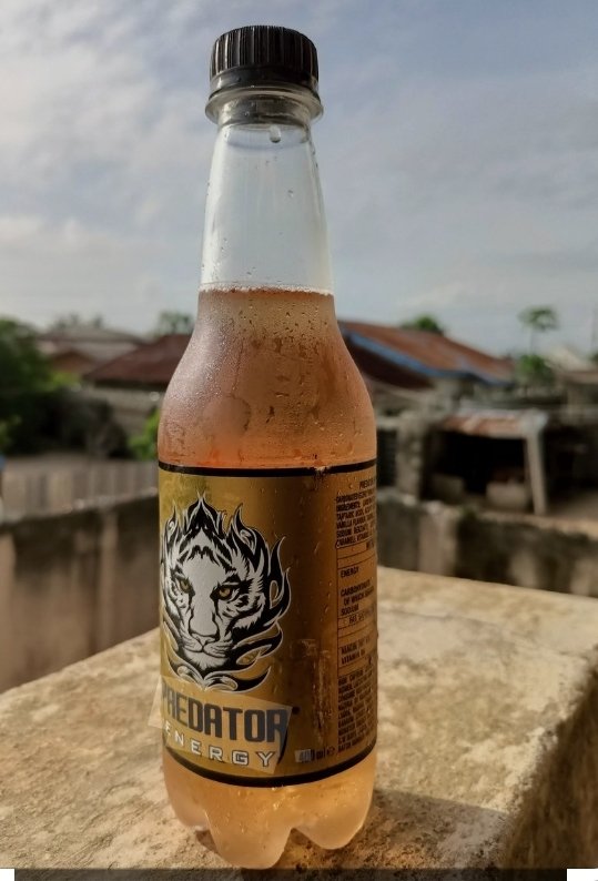 The shepherd🧑‍⚕️❤️‍🩹 tweet media