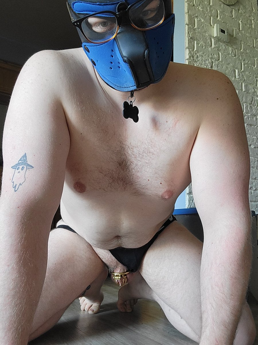 puphedo's tweet photo. Still locked and still eager to mount you. Day 2
#gay #gaypup #humanpup #pupplay #puphood #chastity #gaychastity #lockedcock #selflocked https://t.co/U64EiugeoL