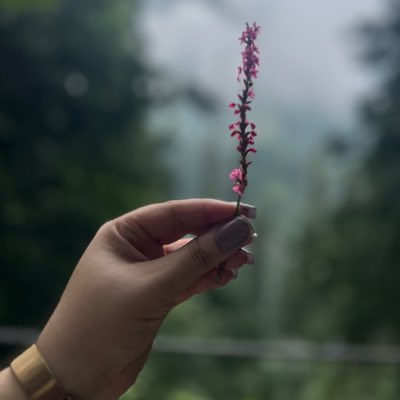lowkeyyalive's tweet photo. #NewProfilePic https://t.co/BlxB7oXJjj