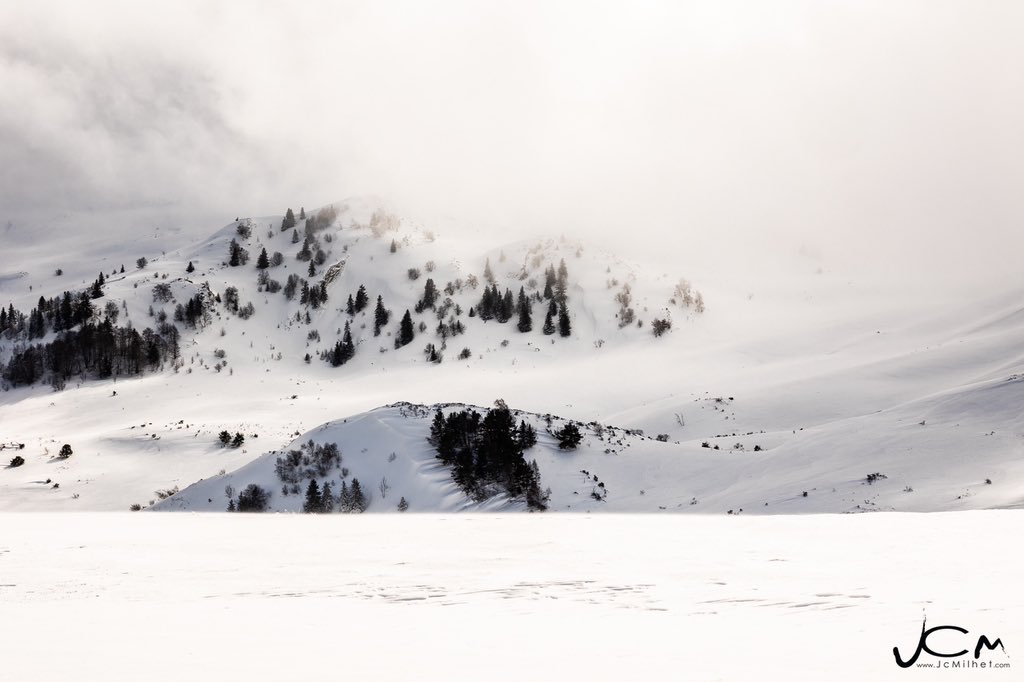 Jc Milhet tweet media