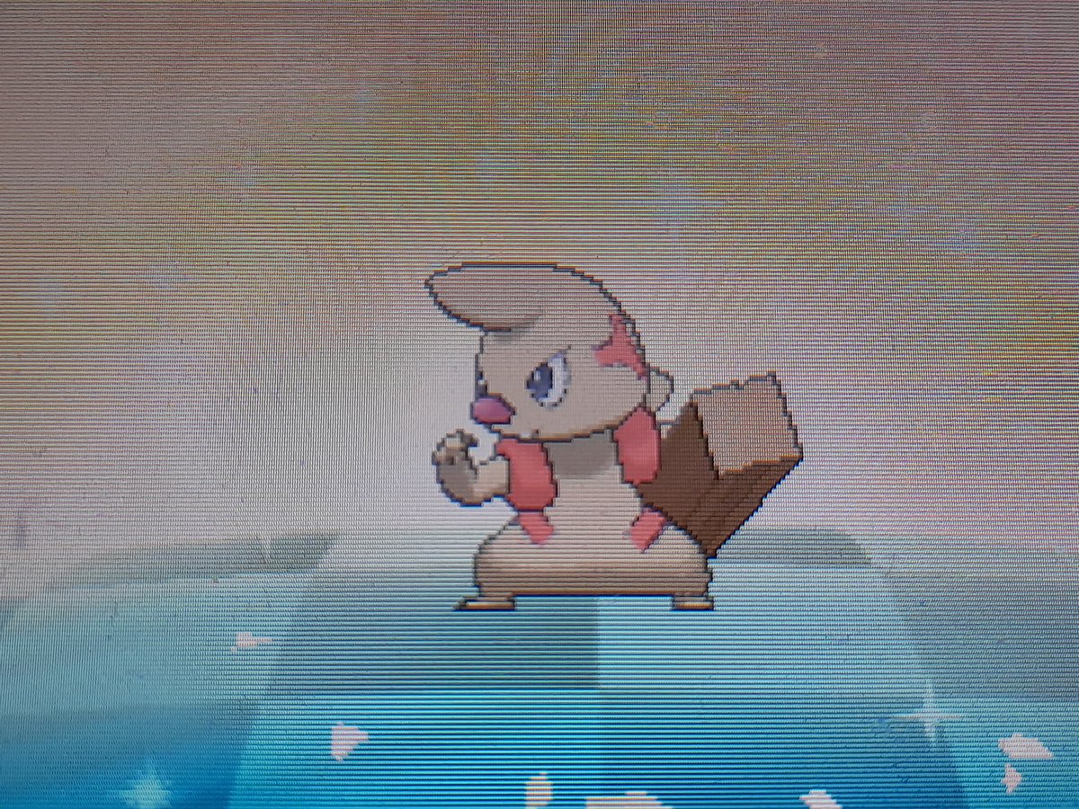 First sparkly wood wielder after 333 eggs!
